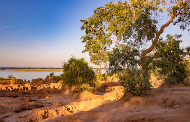 istock Lower Zambezi National Park - 2019 1195143403
