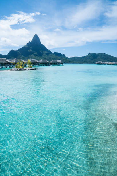 istock Bora Bora, Tahiti, French Polynesia 1195143435