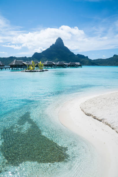 istock Bora Bora, Tahiti, French Polynesia 1195144206