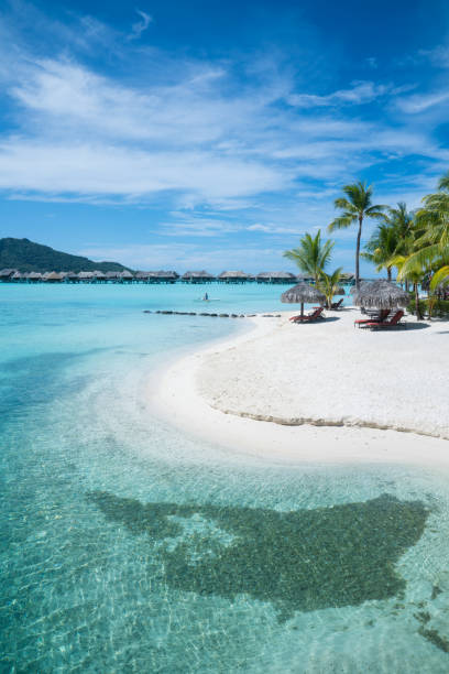 istock Bora Bora, Tahiti, French Polynesia 1195144269