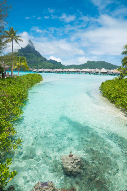 istock Bora Bora, Tahiti, French Polynesia 1195144491
