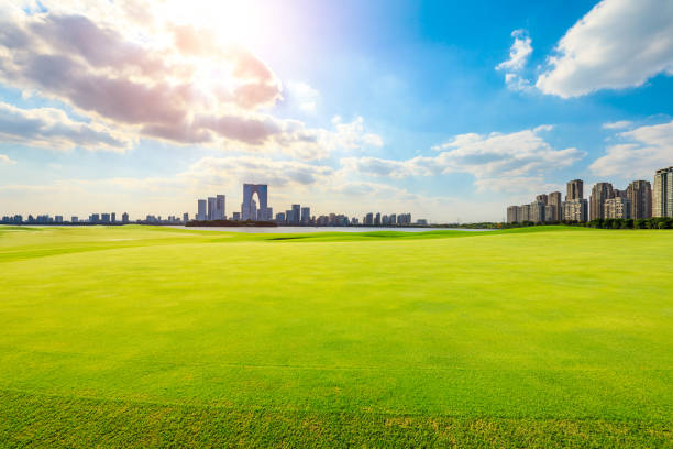 istock Suzhou city skyline and green grass on a sunny day. 1195147101