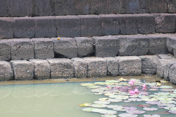 uma lagoa do kingfisher e dos lótus em prasat muang tam em buriram, tailândia - thailand buriram temple hinduism - fotografias e filmes do acervo