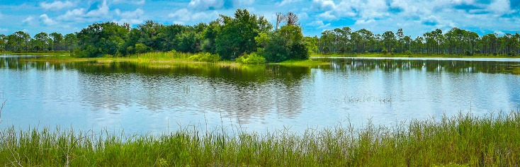 Lakes Park, Webb Lake, Six Mile Cypress Slough, Fort Myers