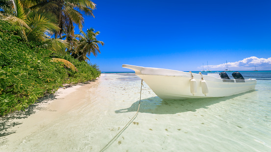 Tropical paradise: Beach with palm trees and boat – Saona Island, Caribbean sea
