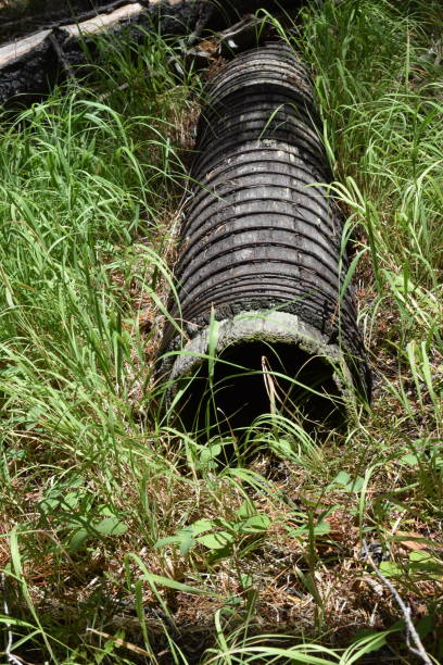 istock Antique wooden pipes in grass. 1195161572