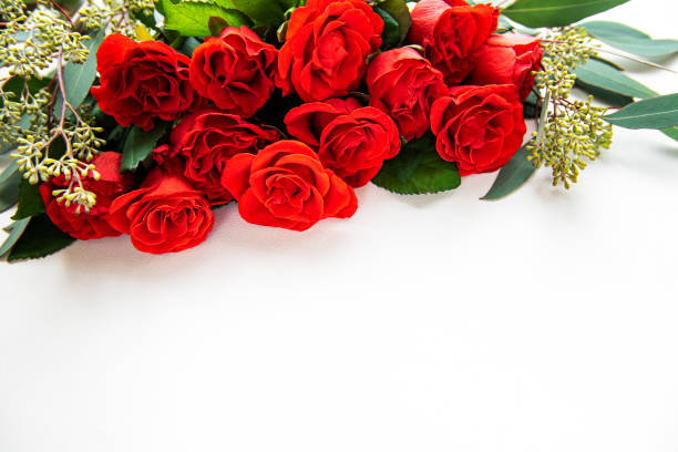 Red roses with eucalyptus on a white background. Valentines card. Flat lay, copy space