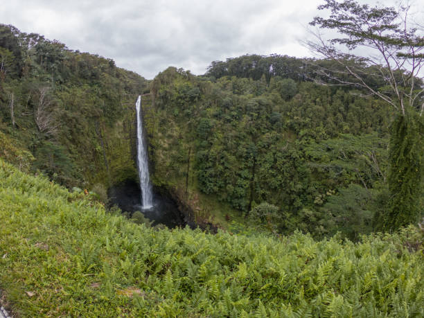 istock Kahuna falls, Hawaii, USA 1195169204