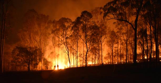 Fire Gregory fire queensland inferno stock pictures, royalty-free photos & images