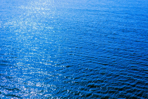 istock blue water background or texture. aerial view 1195177640