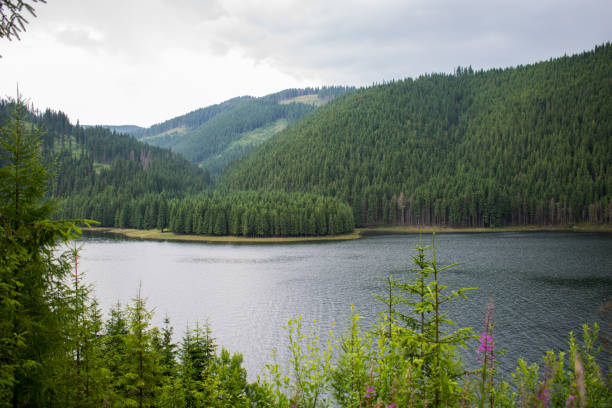 istock a beautiful mountain lake 1195178382