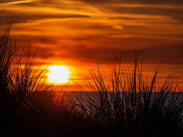 istock Sun setting behind marram grass covered dunes in the foreground with burning and dramatic sky 1195179430