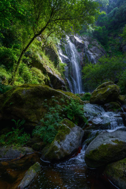 istock Waterfall and stream across the forest 1195183729