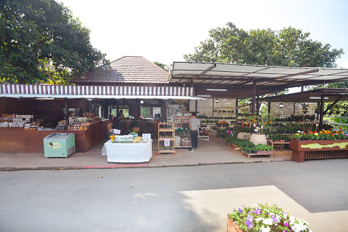 Food and souvenir shop on Doi Tung mountain in arrival area for tourists. A person is standing in center. At right side is a shop for plants. Doi Tung mountain in thai highlands of  Mae Fa Luang District in provinz Chiang Rai.