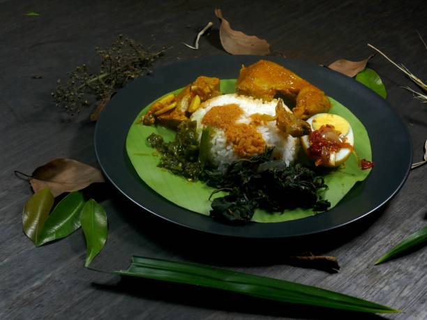 istock Padang rice, chicken opor and egg balado 1195185927
