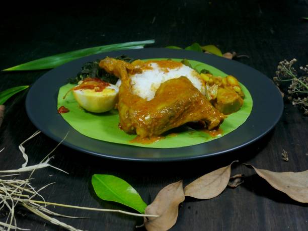istock Padang rice, chicken opor and egg balado 1195186678