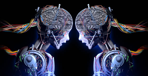 Artificial Intelligence Encounter Harmonization of Artificial Intelligence with Human Brain. Human headed cyborgs compare their processor power. twin stock pictures, royalty-free photos & images