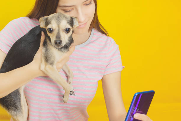 istock Girl makes selfie with a dog 1195191182