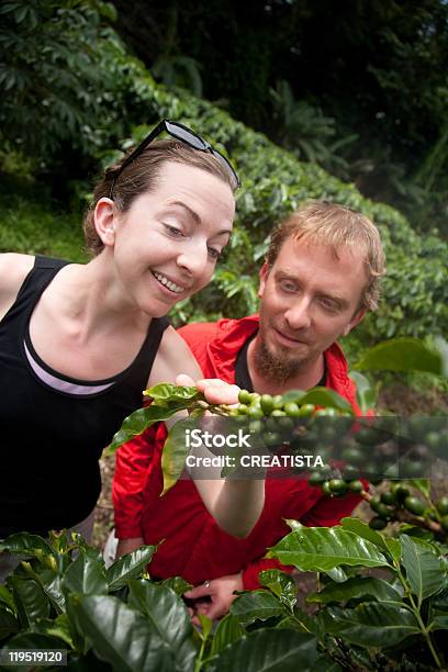 Amerikanische Und Europäische Paar Auf Kaffeeplantage In Costa Rica Stockfoto und mehr Bilder von Kaffee