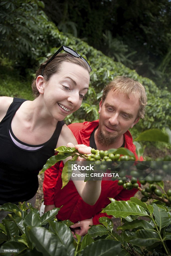 Americanos e europeus Casal na Plantação de café na Costa Rica - Royalty-free Café - Colheita Foto de stock