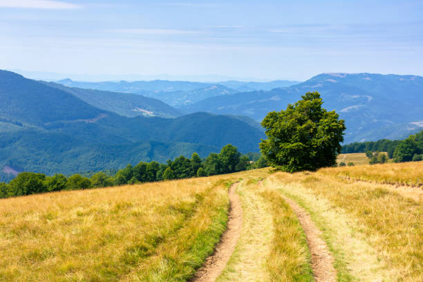 istock mountainous countryside in summertime 1195195195