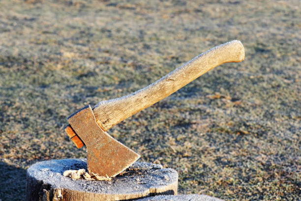 istock Frozen ax in a wooden deck, winter logging. Cleaver 1195195343