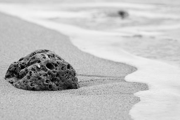 Pedra na praia - fotografia de stock