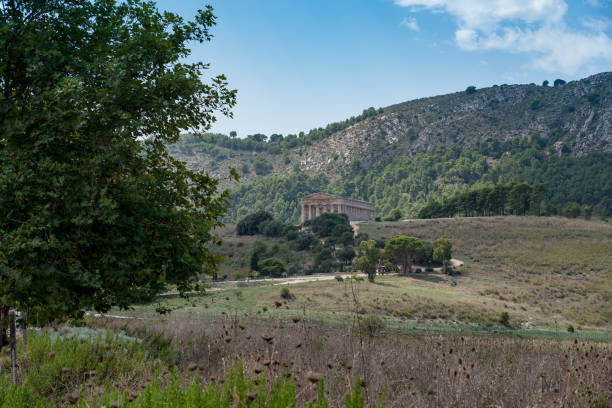 istock Temple of Segesta in Sicily 1195196362