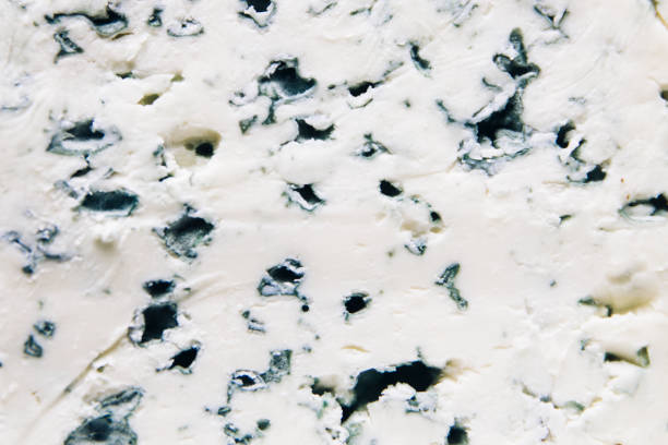 istock Traditional Auvergne blue cheese 1195199815