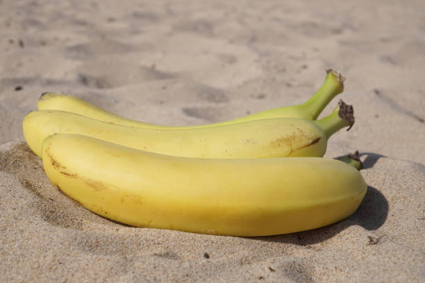 istock A bunch of the three bananas on the sand 1195203886
