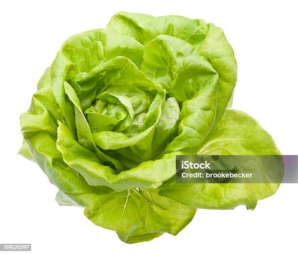 Hydroponic Lechuga Bibb Foto de stock y más banco de imágenes de Alimento - Alimento, Aperitivo - Plato de comida, Color - Tipo de imagen