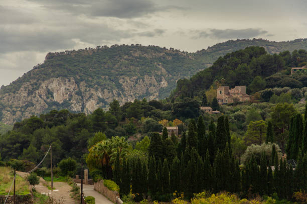 istock Sierra de Tramuntana 1195208228