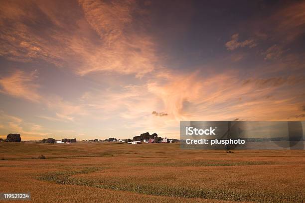 아이오아 옥수수 필드 해질녘까지 아이오와에 대한 스톡 사진 및 기타 이미지 - 아이오와, 풍경, 농장