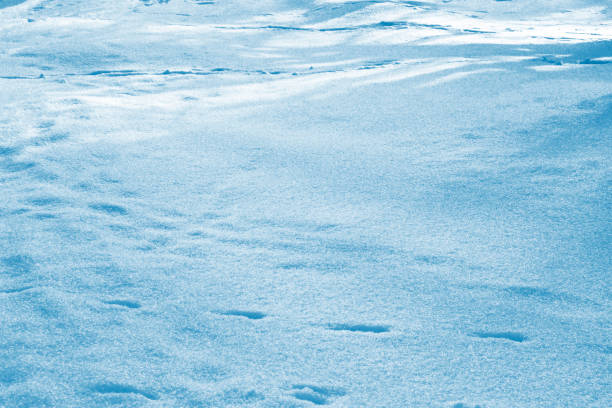 istock texture of the snow. outdoor 1195212348