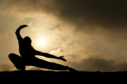 Martial Arts Male in Low Stance Silhouette on Dramatic Sky Background