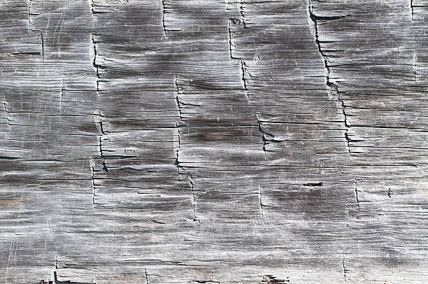 Wood Texture from a Log Cabin  roughhewn stock pictures, royalty-free photos & images