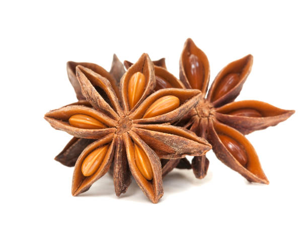istock Star Anise Spice Isolated on White 1195213394