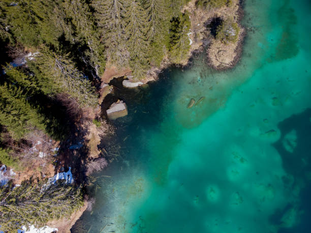 istock High Angle View Of Lake Cresta In Graubunden 1195214885