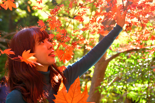 A 24 years’ old Japanese woman is appreciating, and enjoying, beautiful autumn foliage in Otaguro Park, Suginami Ward, Tokyo. She holds a fallen maple leaf and a ginkgo tree leaf.\nThe site of Otaguro Park was originally residence of Mr Motoo Otaguro, a music critic, but it has since been converted to a public park (free of charge) under the management of Suginami Ward office of Tokyo Metropolitan government.