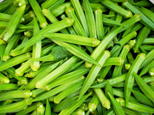 istock Agriculture: Okra Farm in Malaysia 1195222321