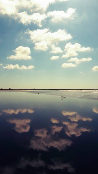 istock Reflection of blue sky and clouds on the pacific ocean 1195224709