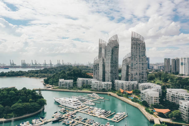istock Luxury smart homes in Singapore seen from above 1195228184