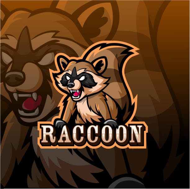 Raccoon Tattoo Designs Cartoons Illustrations, Royalty-Free Vector Graphics  & Clip Art - iStock