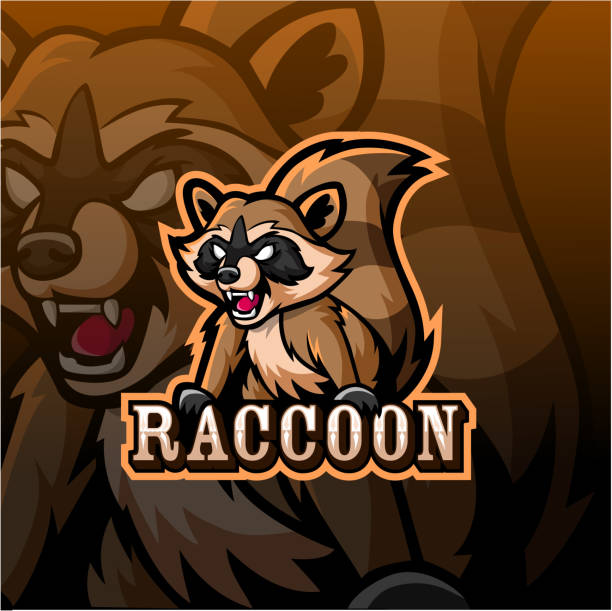 Raccoon Tattoo Designs Cartoons Illustrations, Royalty-Free Vector Graphics & Clip Art - iStock Raccoon Tattoo Designs Cartoons Illustrations, Royalty-Free Vector Graphics & Clip Art - iStock