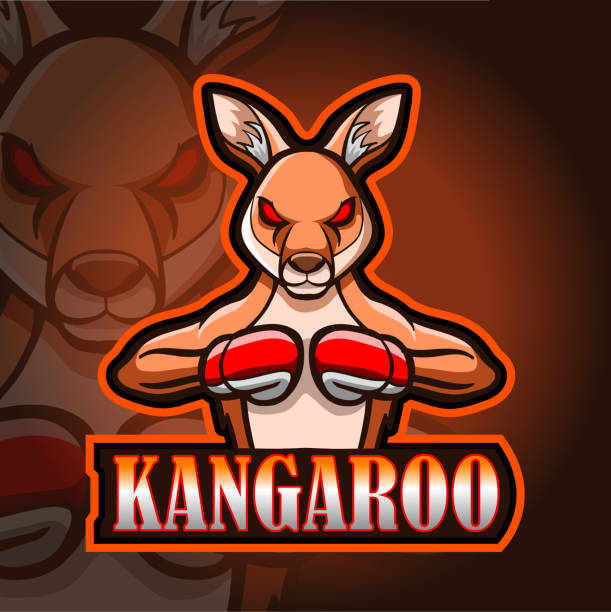 Kangaroo mascot esport  design. Kangaroo mascot esport  design. kangaroos fighting stock illustrations