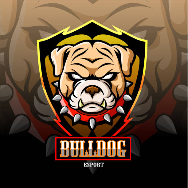 bulldog maskotka esport logo projekt. - indonesia football stock illustrations