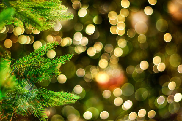 istock Closeup of Christmas tree on blurred bokeh light background. 1195231804