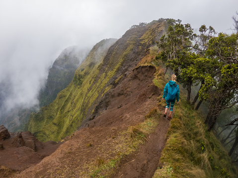 Woman hiking in Hawaii in wet rainforest on the edge of a mountain ridge- kauai Island, Hawaii 
People travel nature