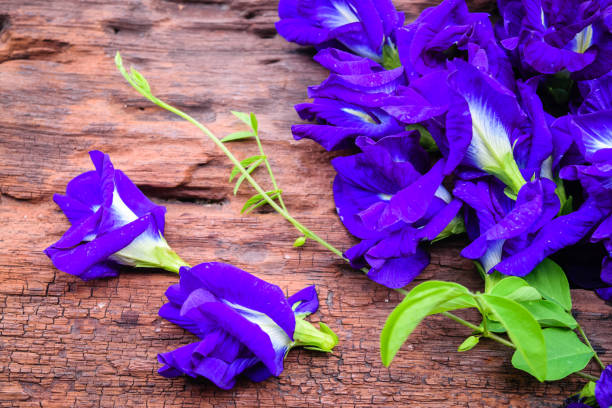 istock Butterfly pea juice 1195233091