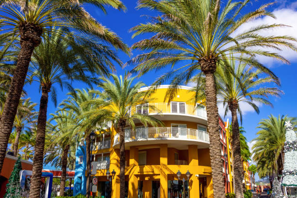 istock Willemstad, Curacao, Netherlands - Specific coloured buildings in Curacao 1195233221